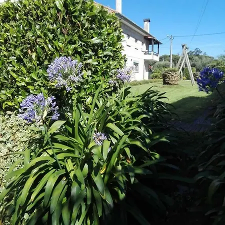 Holiday home Teomil - Casa De Ferias Lajeosa (Viseu)