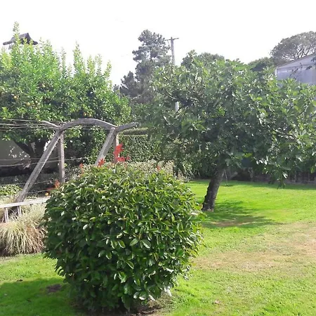 Teomil - Casa De Ferias * Lajeosa (Viseu)
