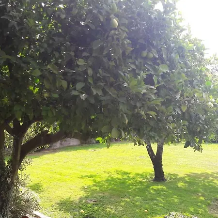 Holiday home Teomil - Casa De Ferias Lajeosa (Viseu)