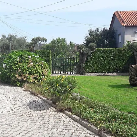 Teomil - Casa De Ferias Lajeosa (Viseu)